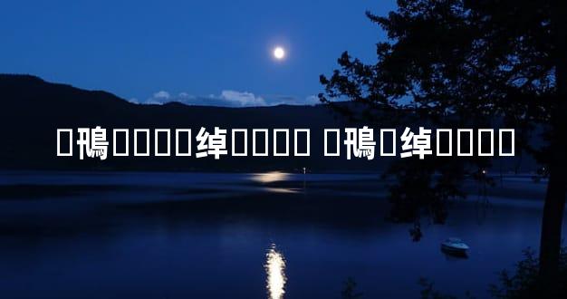 �鳵��ҵ�绰���� �鳵�绰����